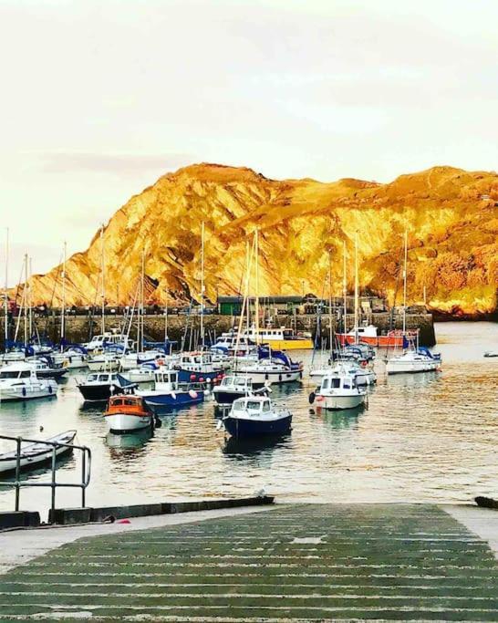 Paramount Apartments Ilfracombe, Arty Seaside Holiday Apartments 외부 사진
